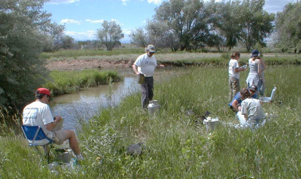 Field sampling team