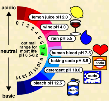 pH Scale