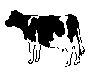 Cow Icon